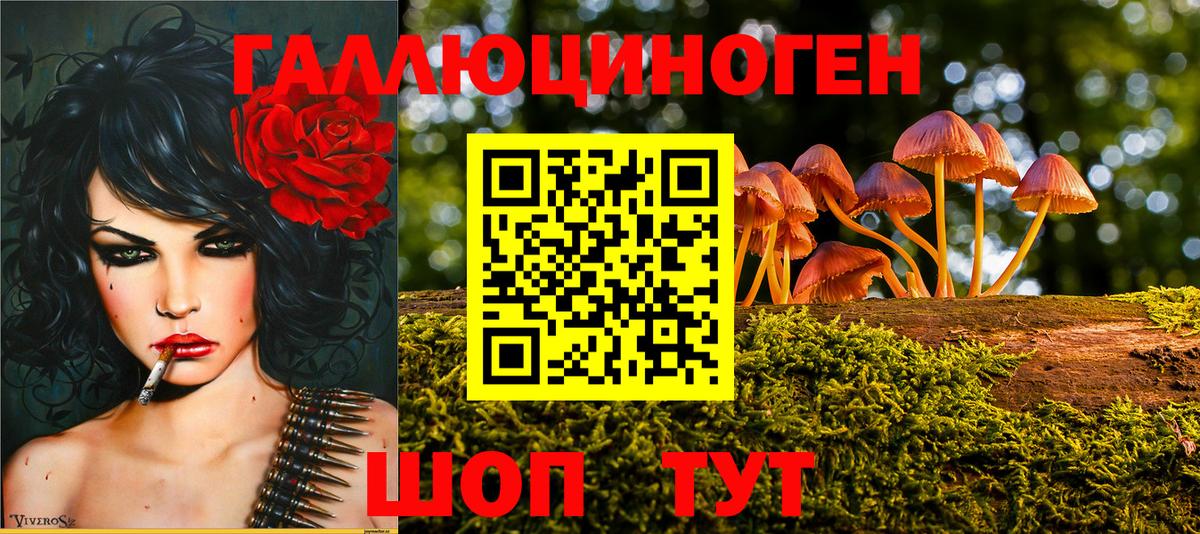 Нальчик  Псилоцибиновые грибы мухоморы  Вход с VPN  Галлюциногенные грибы GOLDEN TEACHER 