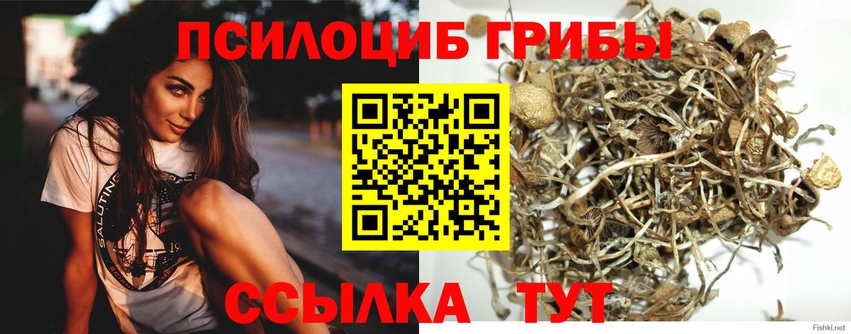 Галлюциногенные грибы GOLDEN TEACHER Нальчик